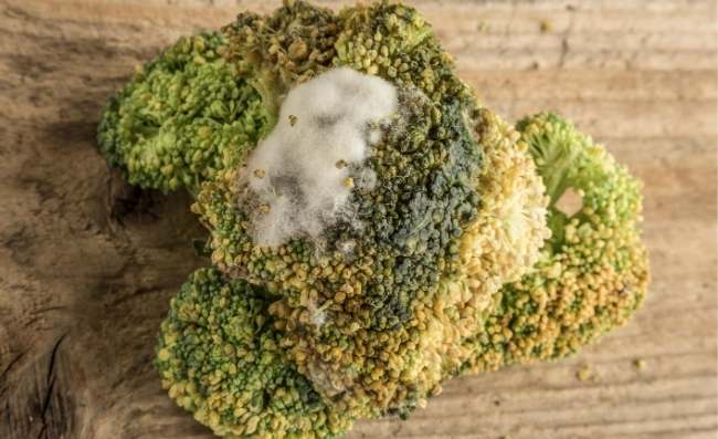 How Long Does Broccoli Last? - KitchenVile